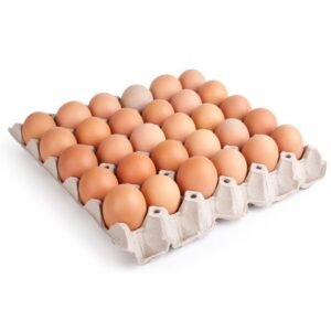 Large Eggs Tray